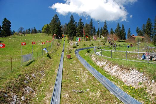 Toboggan attraction in "Vue des Alpas" in Switzerland Jura is complimentary to grate landscapes, the wood in the dirrection of the hill Tet de Ran joins the sky at the background