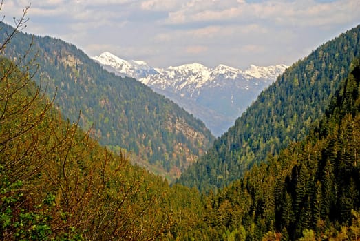 Bosco Valley landscape via Maggia Valley dirrection observed at Sunset. Its a springtime, woods are still waking up, at the bacground we can see Alps mountains separating Maggia valley and Verzasca valley and clouds 