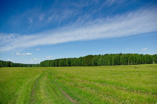 Summer landscape with a road going through the field to the forest