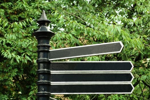 Blank direction signage against background of trees