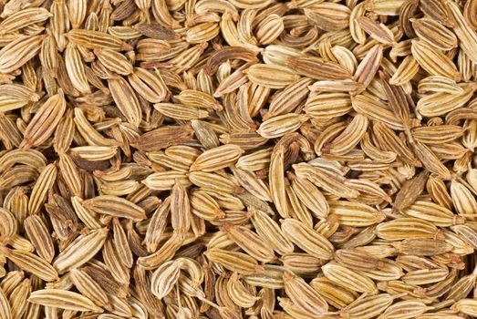 Detail of fennel seeds, a food background