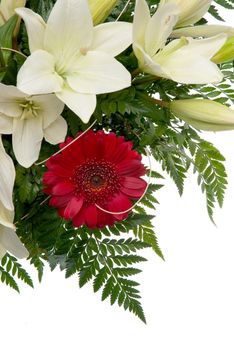 Detail of bouquet of flowers on white background.