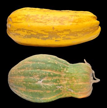 Two pumpkins isolated on black background.