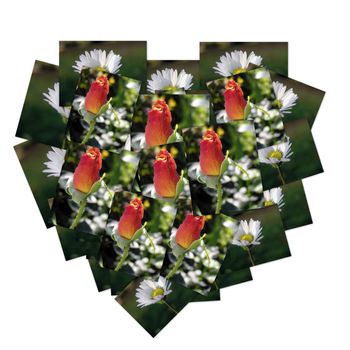 A heart-shaped collage made with pictures of flowers