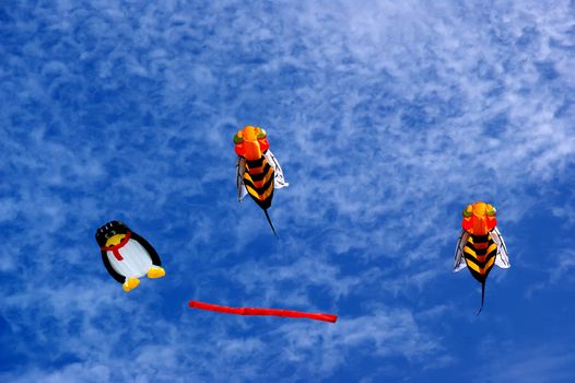 Colorful kites flying in the sky