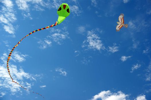 Colorful kites flying in the sky