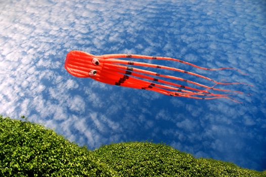 Colorful kites flying in the sky