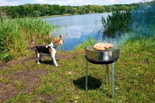 Fresh sausage preparing on grill at the lakeshore
