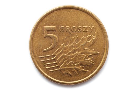 Macro close-up of polish 5 groszy coin
