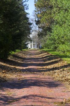 Alley paved with red brick in the park leading to a mansion