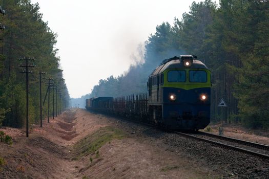 Freight train hauled by the diesel locomotive passing the forest
