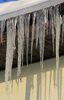 Icicles drooping from the roof