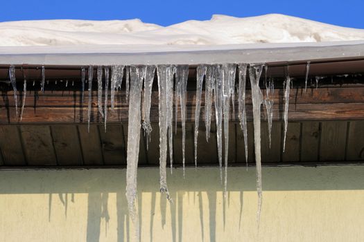 Icicles drooping from the roof