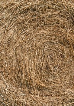 Closeup of a bail of hay. Straw background.