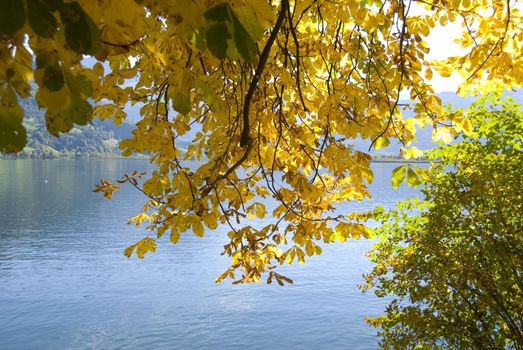 Beautiful autumn day in "Zell am See" Austria