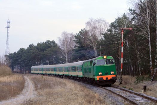 Passenger train hauled by the diesel locomotive passing the forest