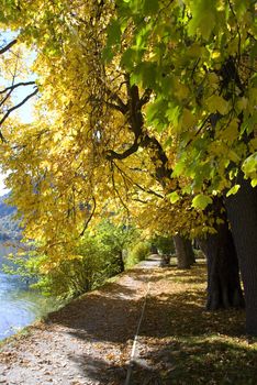 Beautiful autumn day in "Zell am See" Austria