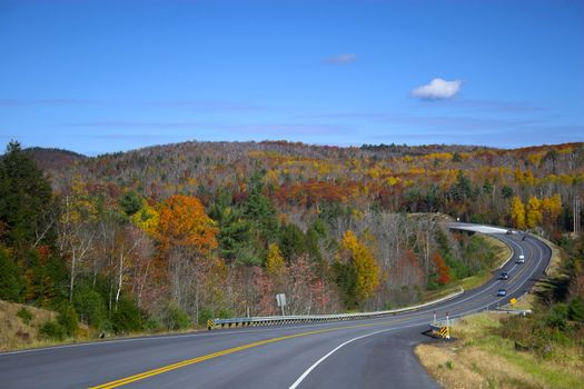 Fall foliage colors and details in Acadia National Park in Maine, New England, during their famous Autumn