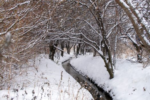 Stream running in snow covered forest