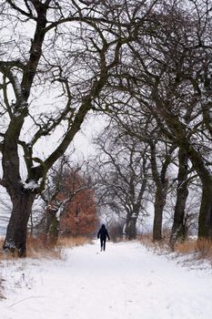 Winter landscape with lonely woman, road and trees