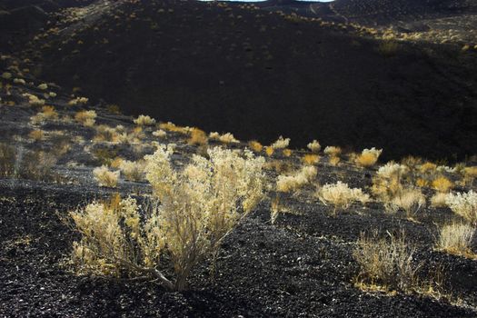 Fragment of black lava mineral deposits in geological formations in Ubehebe Volcano, Death Valley National Park