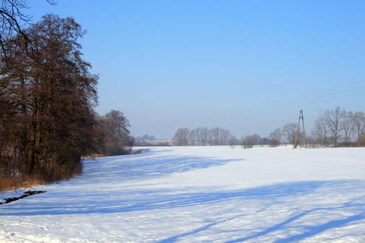 Winter landscape with snow-covered meadow and trees