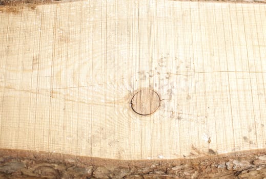 close up of a brown wooden background 