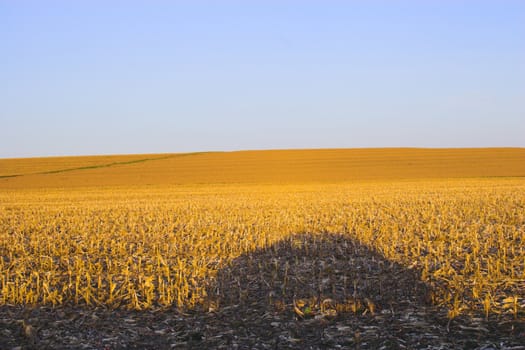 Countryside surrounded by colorful fields and meadows