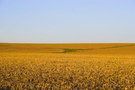 Countryside surrounded by colorful fields and meadows