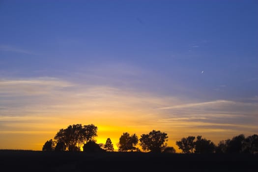 Sunset over tree brunches in the prairie forests