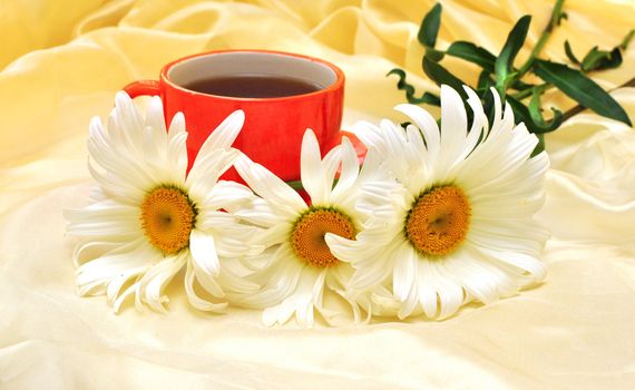 orange cup  and camomiles at the background 