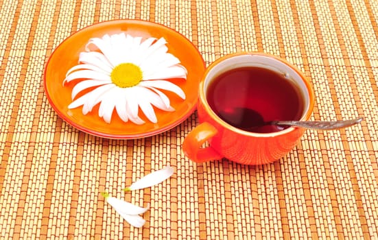 orange cup tea  and camomiles at the background 