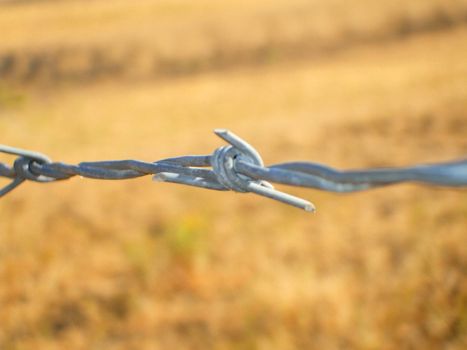 Close up of a barbed wire.