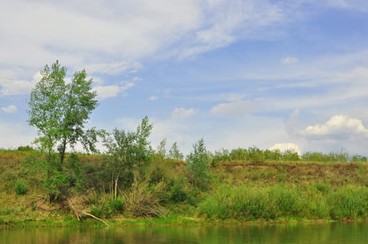 trees on abrupt to river bank against the sky