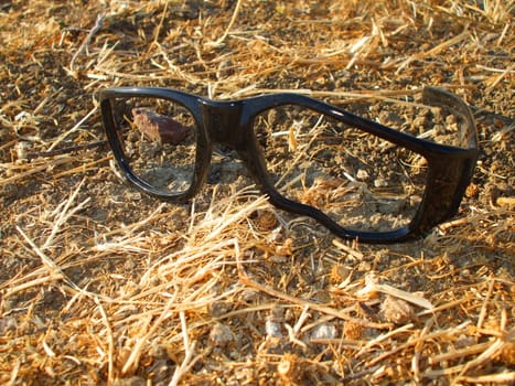 Close up of broken glasses on grass.