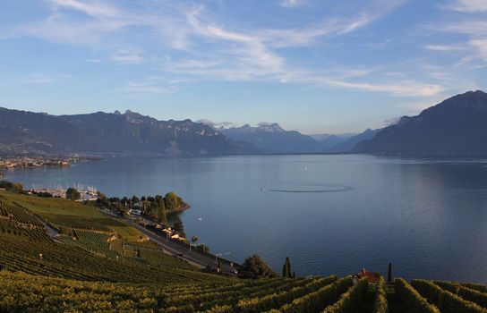 The Lavaux and grapes and lake and mountains