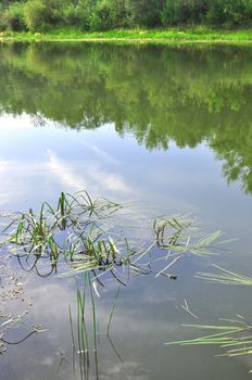 reflexion the sky and woods in the river