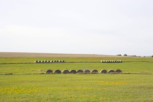 Countryside surrounded by colorful fields and meadows