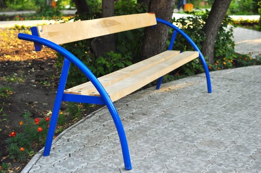 bench in park under tree for rest