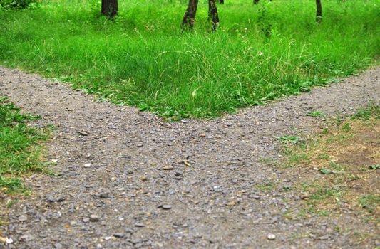 on fork of foot path in park