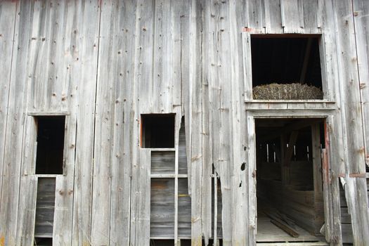 Fragment of farm barn with maize soy and wheat fields  