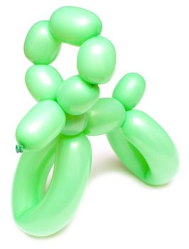 high resolution green twisted balloon poodle isolated on white 