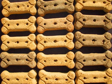 Close up of the dog cookies.