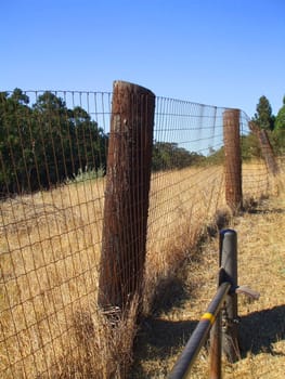 Close up of a fence in a forest.