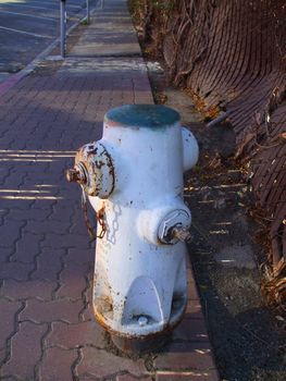 Close up of a fire hydrant on a street.