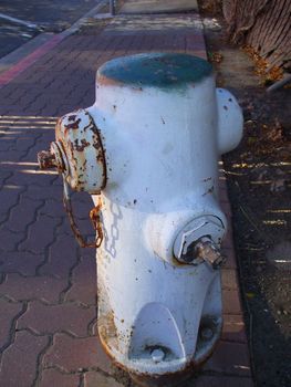 Close up of a fire hydrant on a street.