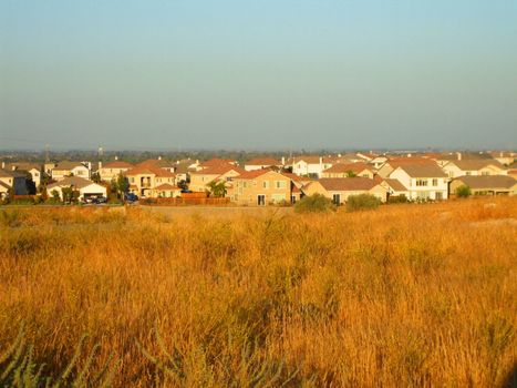 Group of houses in a horizon on a sunny day.