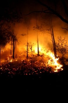 From a bushfire in 2007 where 2000 Hectares were burnt out.