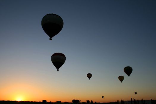 Hot Air Balloons lifting off at dawn