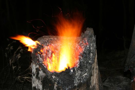 Closeup of burning tree stump - taken during a wildire/bushfire.